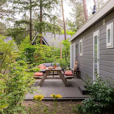 Chalet Boomklever Veluwe *
