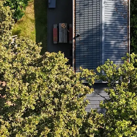Boomklever Veluwe Chalet *