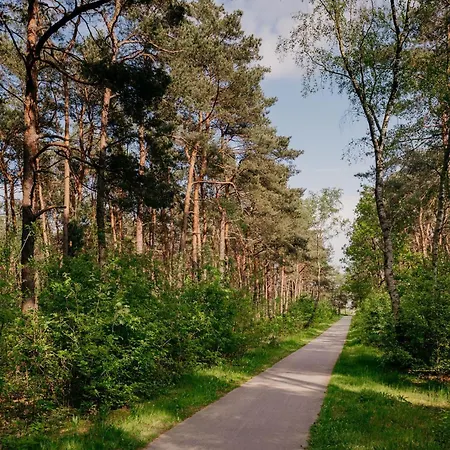 Boomklever Veluwe