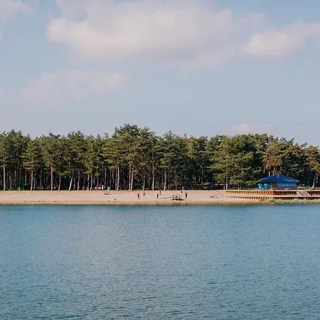 Boomklever Veluwe Chalet