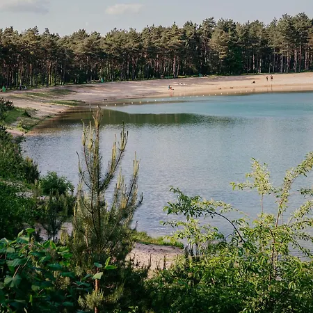 Chalet Boomklever Veluwe